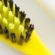 Custom printed toothbrush bristles